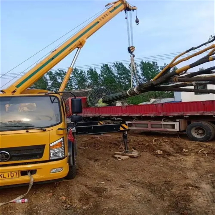 天门100吨吊车租赁费用怎么算？3大关键因素+省钱技巧全解析